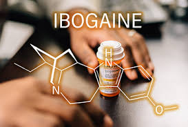 Quality testing in our lab